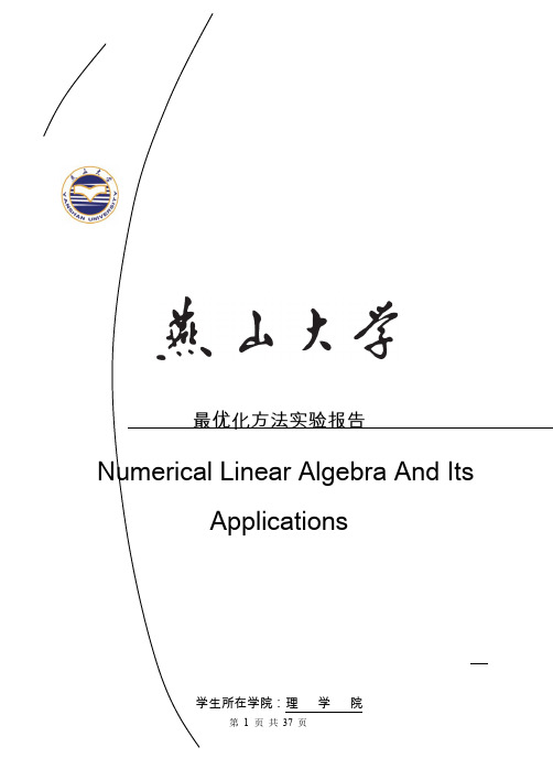 最优化方法实验报告(2)