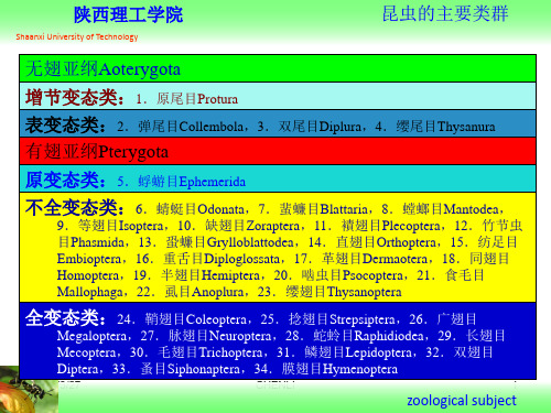 资源昆虫学-昆虫的主要类群