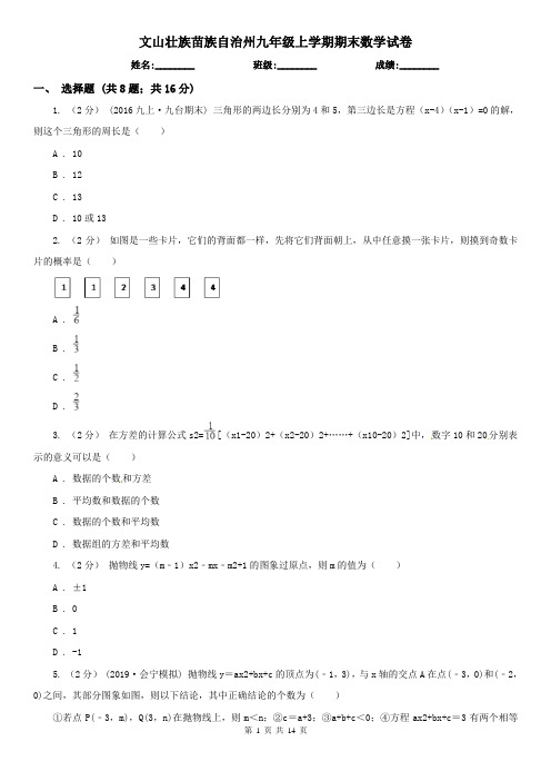 文山壮族苗族自治州九年级上学期期末数学试卷