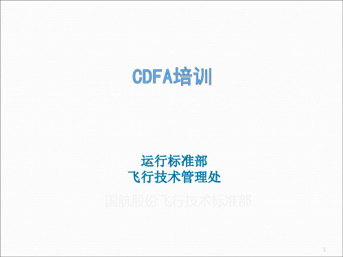 CDFA培训课程(PPT43页)