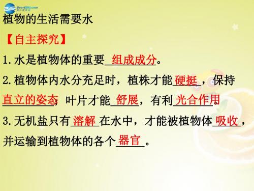 七年级生物上册 第三章 第三节 绿色植物参与生物圈的水循环课件