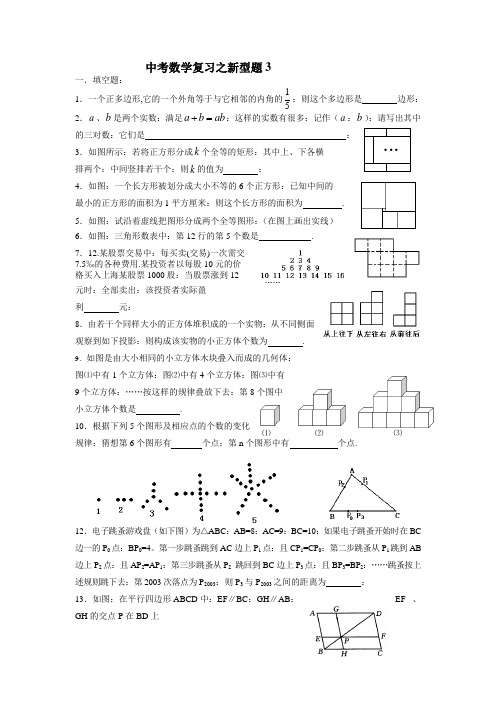 2021年数学中考复习新题型2