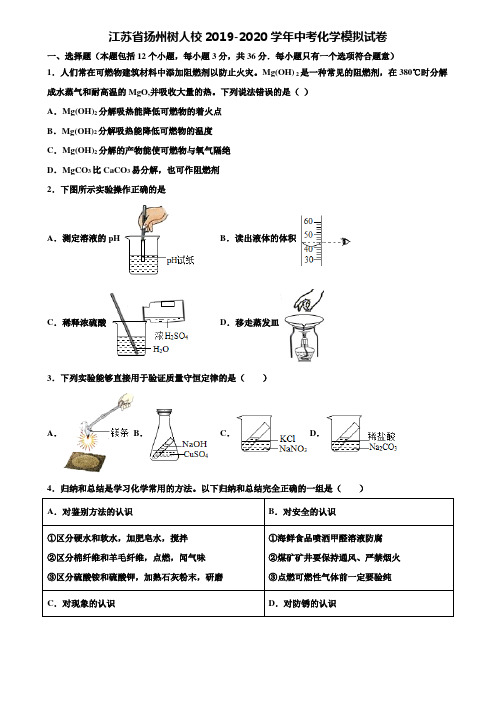 【附20套中考模拟试卷】江苏省扬州树人校2019-2020学年中考化学模拟试卷含解析