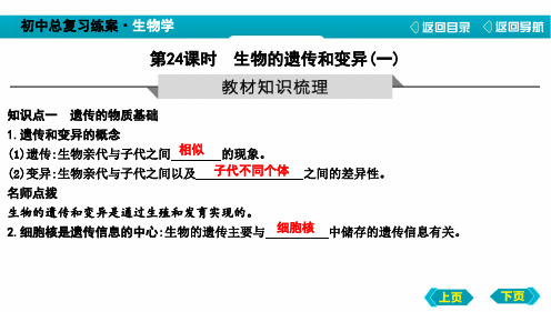 中考生物复习生物的遗传和变异(一)