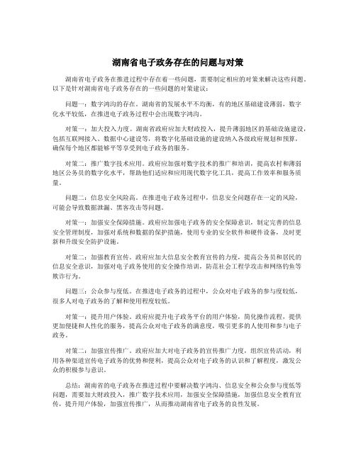 湖南省电子政务存在的问题与对策