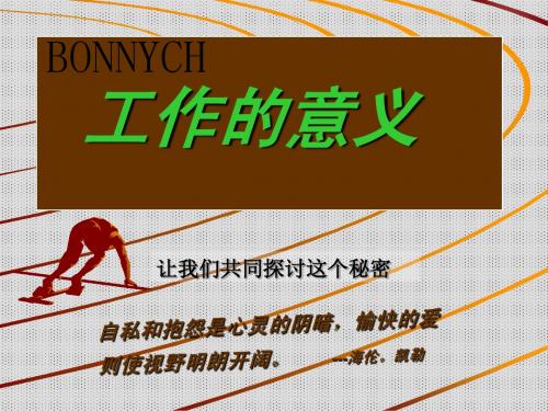 工作的意义