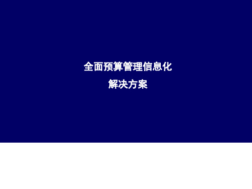 全面预算管理解决方案ppt课件