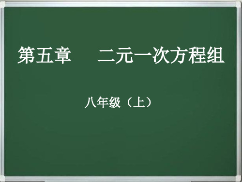 八年级数学下册第五章二元一次方程组(同步+复习)精品讲义课件