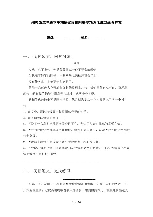 湘教版三年级下学期语文阅读理解专项强化练习题含答案