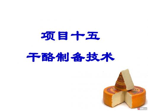 发酵与酿造技术15.干酪制备技术