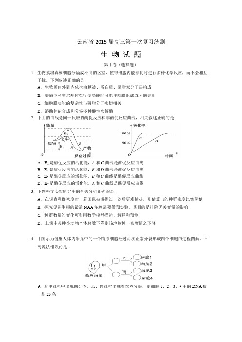 2015年云南省第一次统一复习检测理综试卷-Word版含答案