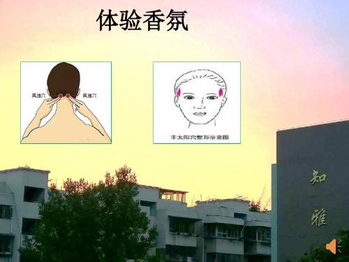 【实验】用蒸馏法从柑橘皮中提取芳香油