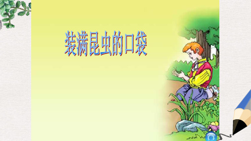 北师大版小学三年级语文下册__装满昆虫的口袋精品ppt课件