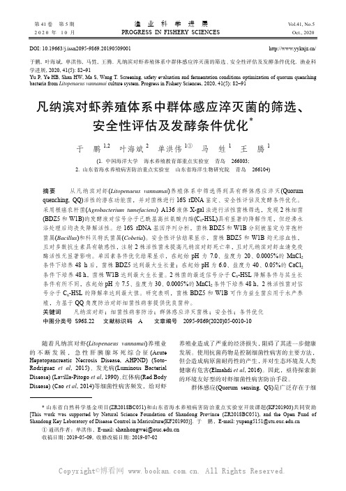 凡纳滨对虾养殖体系中群体感应淬灭菌的筛选、安全性评估及发酵条件优化