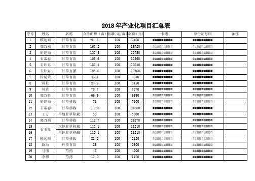 2018年产业化项目汇总表