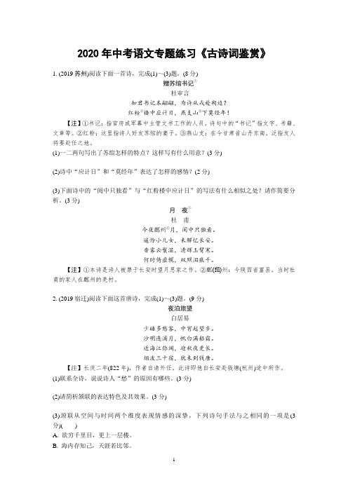 人教部编版2020年中考语文专题练习《古诗词鉴赏》(含答案)