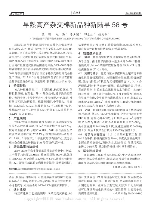 早熟高产杂交棉新品种新陆早56号