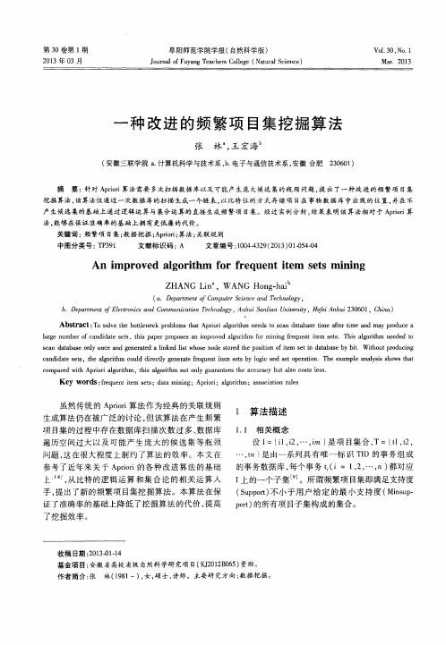 一种改进的频繁项目集挖掘算法