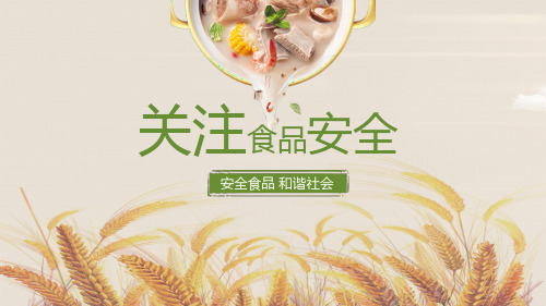 关注食品安全宣传PPT模板