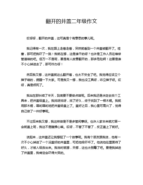 翻开的井盖二年级作文