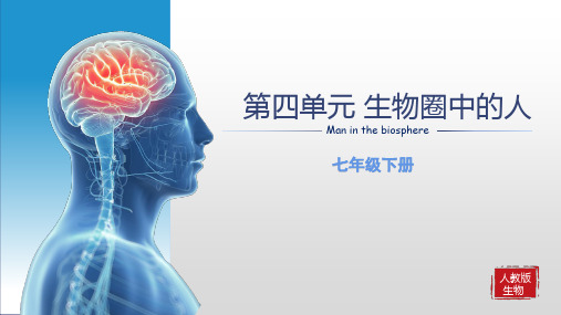 第一章+人的由来-2022-2023学年七年级生物下学期期末复习知识梳理+冲刺卷(人教版)