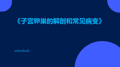 子宫卵巢的解剖和常见病变