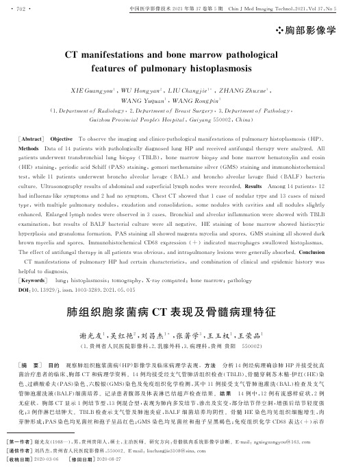 肺组织胞浆菌病CT表现及骨髓病理特征