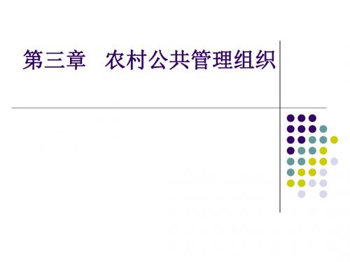 第三章-农村公共管理组织