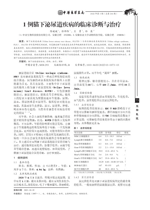 1 例猫下泌尿道疾病的临床诊断与治疗