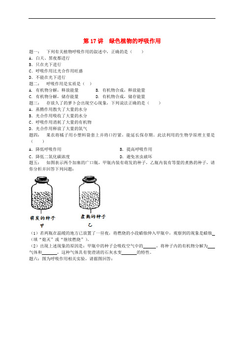 江苏省大丰市七年级生物上册 第17讲 绿色植物的呼吸作用练习 苏教版