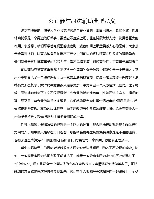 公正参与司法辅助典型意义