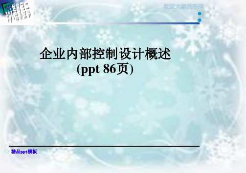 企业内部控制设计概述(ppt 86页)