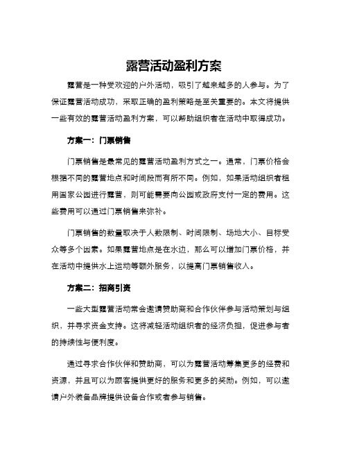 露营活动盈利方案