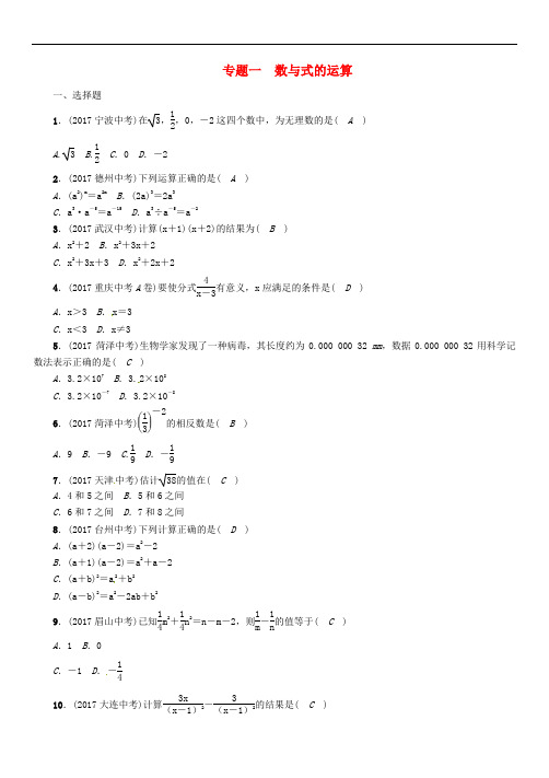 【初中数学】河北省2018年中考数学总复习：精讲试题(91份) 人教版73