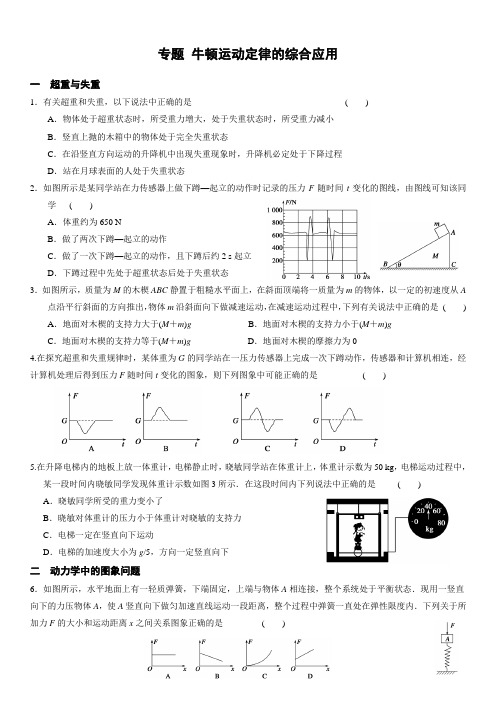 专题牛顿运动定律的综合应用