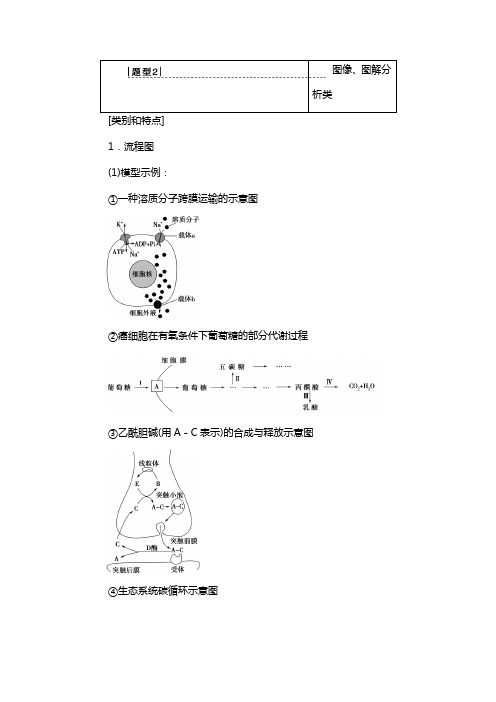 2020高考生物二轮复习6大热点专攻题型2：图像、图解分析类