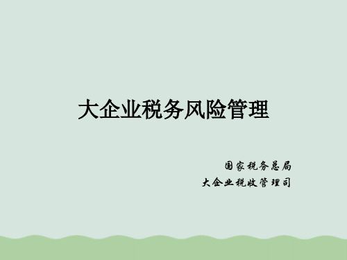 大企业税务风险管理PPT(共65页)