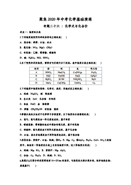 2020年中考化学专题训练：化学式与化合价(含答案)