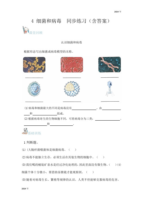 青岛版六三制科学六年级上册第二单元第4课细菌和病毒  同步练习(含答案)