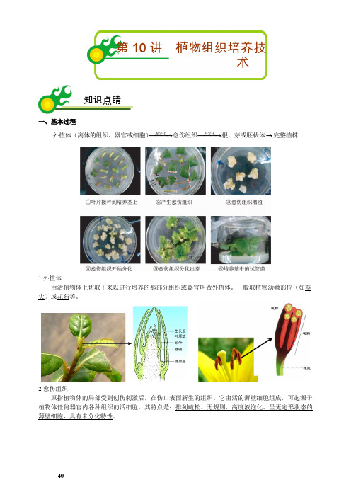 高二生物《植物的组织培养技术》