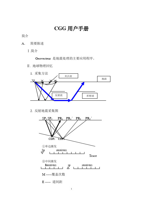 CGG用户手册