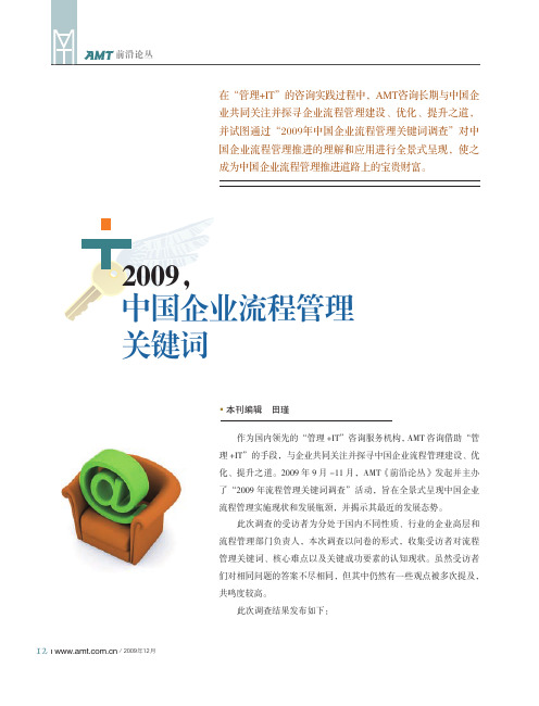 2009,中国企业流程管理关键词