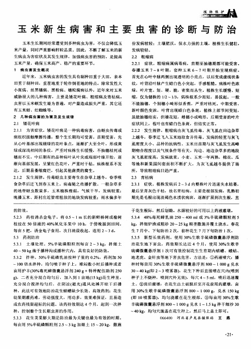 玉米新生病害和主要虫害的诊断与防治水稻条纹叶枯病防治技术无公害粘虫胶在枣树上的应用技术小麦遭受冻