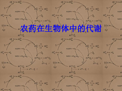 农药毒理学-农药在生物体中的代谢