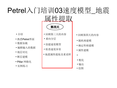 Petrel入门培训03速度模型_地震属性提取