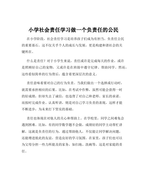 小学社会责任学习做一个负责任的公民