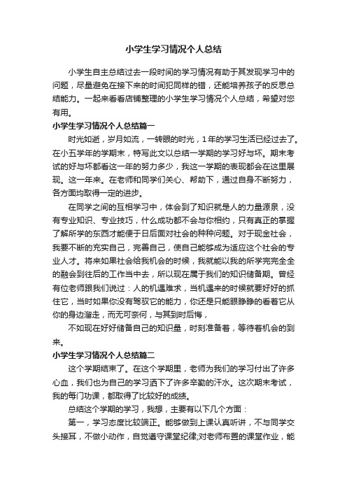 小学生学习情况个人总结