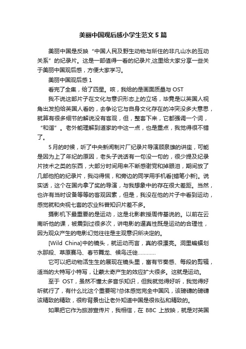 美丽中国观后感小学生范文5篇