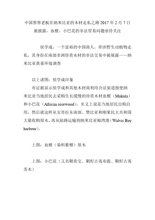 中国黑帮老板在纳米比亚的木材走私之路2017年2月7日被披露,血檀、小巴花的非法贸易问题亟待关注