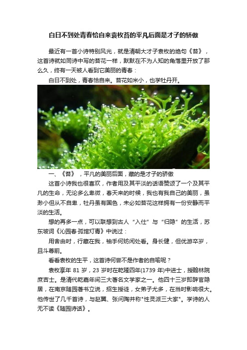 白日不到处青春恰自来袁枚苔的平凡后面是才子的骄傲